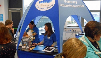Pop Up Kiosk for Galway Atlantaquaria