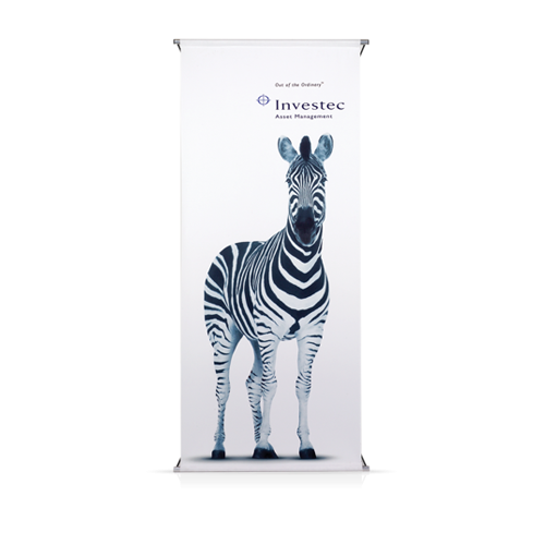 pop-up-spider-banner-2